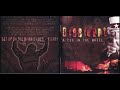 Fortress(Dissident) -  Ocean of Warriors(Brutal Attack cover)