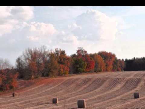 Relax to the Bible - Psalm 28