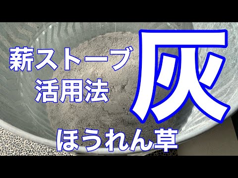 木の根元に灰を置いてもいいでしょうか？何のために ？特典＋申込方法  庭園