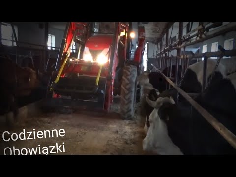 Codzienne Obowiązki 2k18 Paszowóz INTERMIX R10