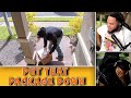 INTHECLUTCH REACTS TO WHEN PACKAGE THIEVES GET INSTANT KARMA