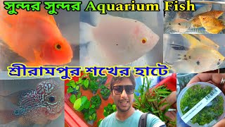 Shrirampur Fish Pet Haat | Serampore Fish Market | Aquarium Fish Haat Serampore | Fish Shop Near Me 