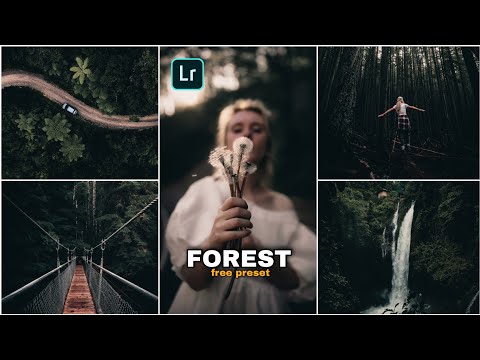 How To Edit Dark Forest in Lightroom Mobile || Download Free Dark Forest Preset 2022 @IPEditing