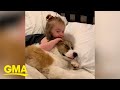 Grab your the tissues for the sweetest corgi and toddler snuggle sesh ever to exist - Good Morning America Grab your the tissues for the sweetest corgi and toddler snuggle sesh ever to exist