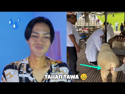 hold back laughter 🤐 #2