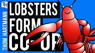 Lobster Men Form Workers Co-Op With Machinists!