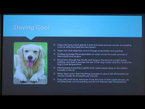 Thermoregulation in Dogs (2018)