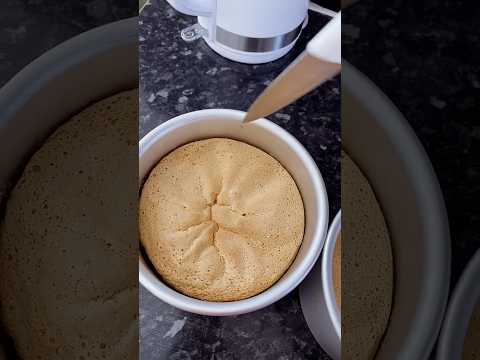 Swedish sponge cake #shortvideo #shortsvideo #shorts