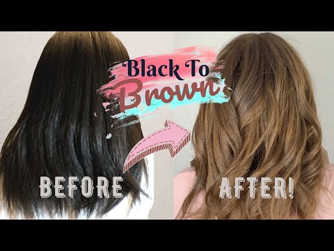 How To Dye Black To Brown Hair | I Dyed My Friends...