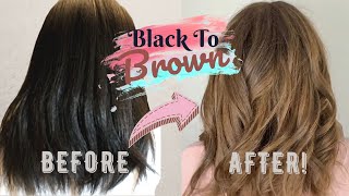 How To Dye Black To Brown Hair | I Dyed My Friends Hair Light Golden Brown! | With Bleach No Damage!