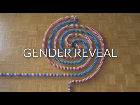 Domino Gender Reveal!