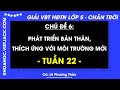 Vở bài tập Hoạt động trải nghiệm Lớp 5 Tuần 22 - Trang 44, 47