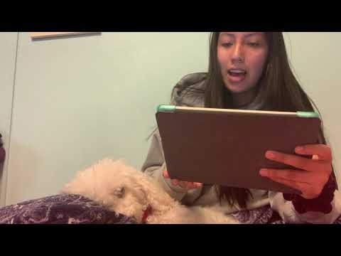 El Pájaro y La Ballena en español.