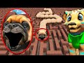 HUNGRY PIBBLE WORM IN A MAZE Gmod Sandbox