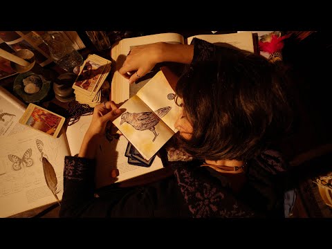 Mari Merenda - Mulher Corvo (Visualizer) ft. Flaira Ferro