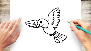 How to Draw a Bird Flying Step by Step for Kids