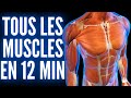 TOUS LES MUSCLES DU CORPS HUMAIN EN 12 MIN - ANATOMIE LYON 3D