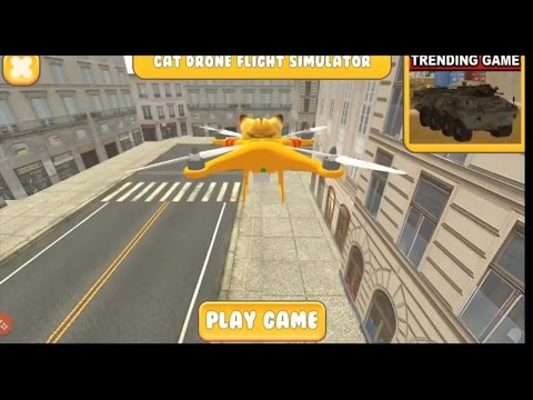 Cat Drone Flight Simulator Video