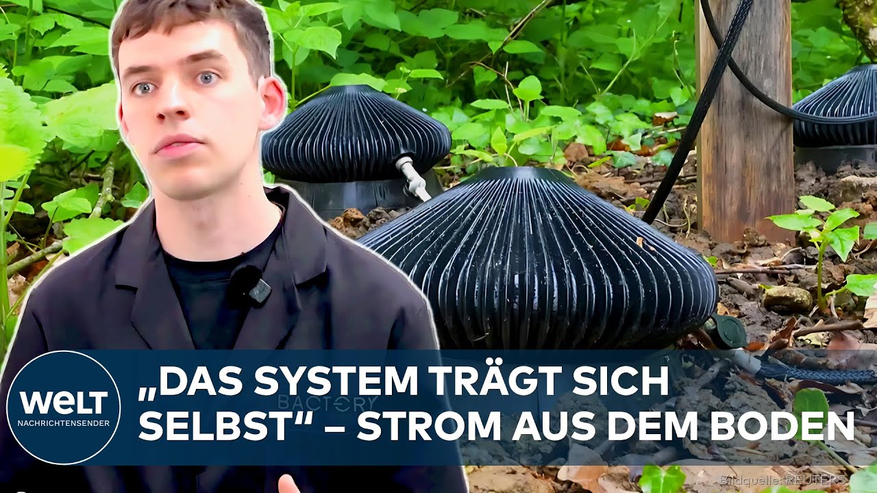 BODENSTROM: Wie ein britisches Start-up mit Mikroben im Erdboden nachhaltig Strom erzeugt