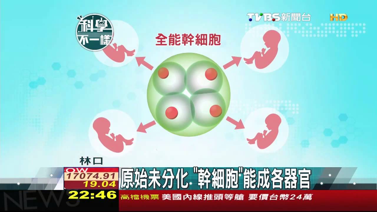 【科學不一樣】原始未分化 「幹細胞」能成各器官