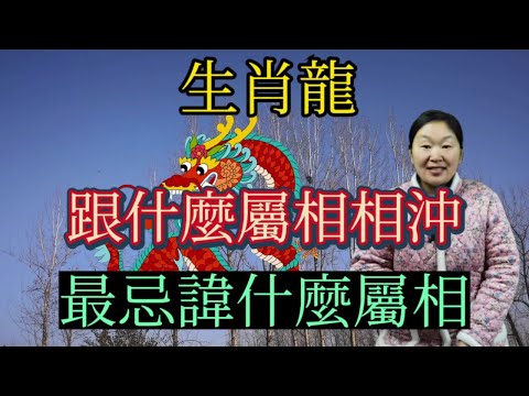 屬龍相沖生肖