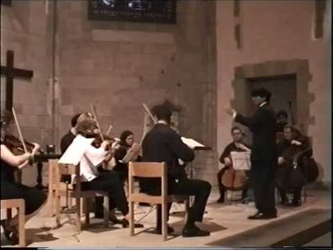 Tchaïkovski Sérénade pour Cordes Frank Rodríguez Freites l'Ensemble Instrumental du Léman.