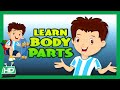 Body Parts For Kids Learning Human Body Parts For Kids KIDS HUT