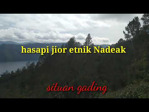 situan gading#by@hasapijioretniknadeak0780