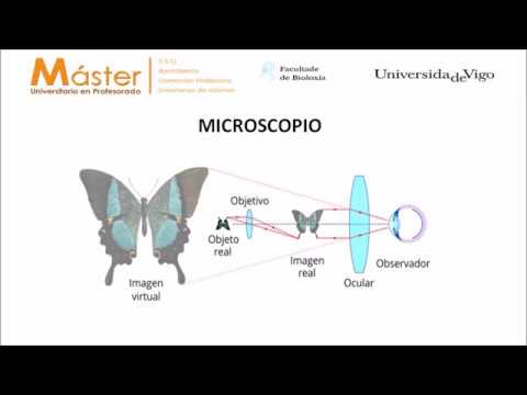 Vídeo: Práctica das lentes: aplicacións