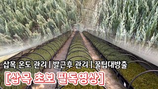 삽목장 온도관리부터 발근후 관리까지! 이렇게 쉬울수가? [삽목초보 필독영상]