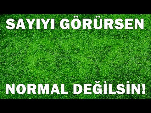 Hangi Sayıyı Görüyorsun? - %90 BAŞARISIZ