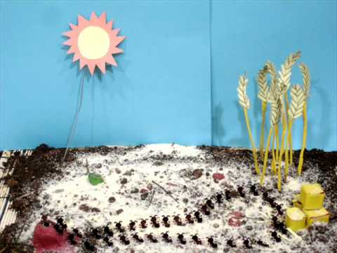 download lagu mp3 mp4 Les Petites Formiguetes, download lagu Les Petites Formiguetes gratis, unduh video klip Les Petites Formiguetes