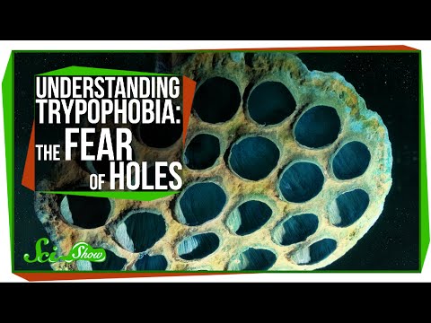 理解恐懼症：對洞的恐懼。 (Understanding Trypophobia: The Fear of Holes)