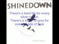Shinedown - What A Shame (lyrics) 