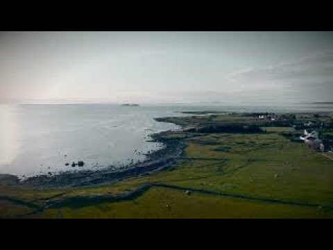 Randaberg - and all those majestic cows.