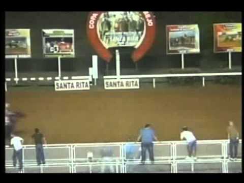 Resumen Miercoles, 19 de Diciembre de 2012 - Santa Rita