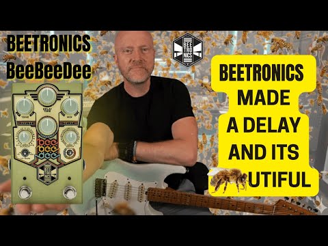 Beetronics BeeBeeDee Analog Delay CUSTOM SHOP image 3