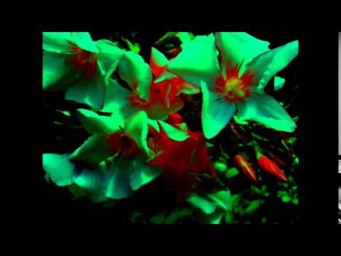 Hector Varela - Guitarrita