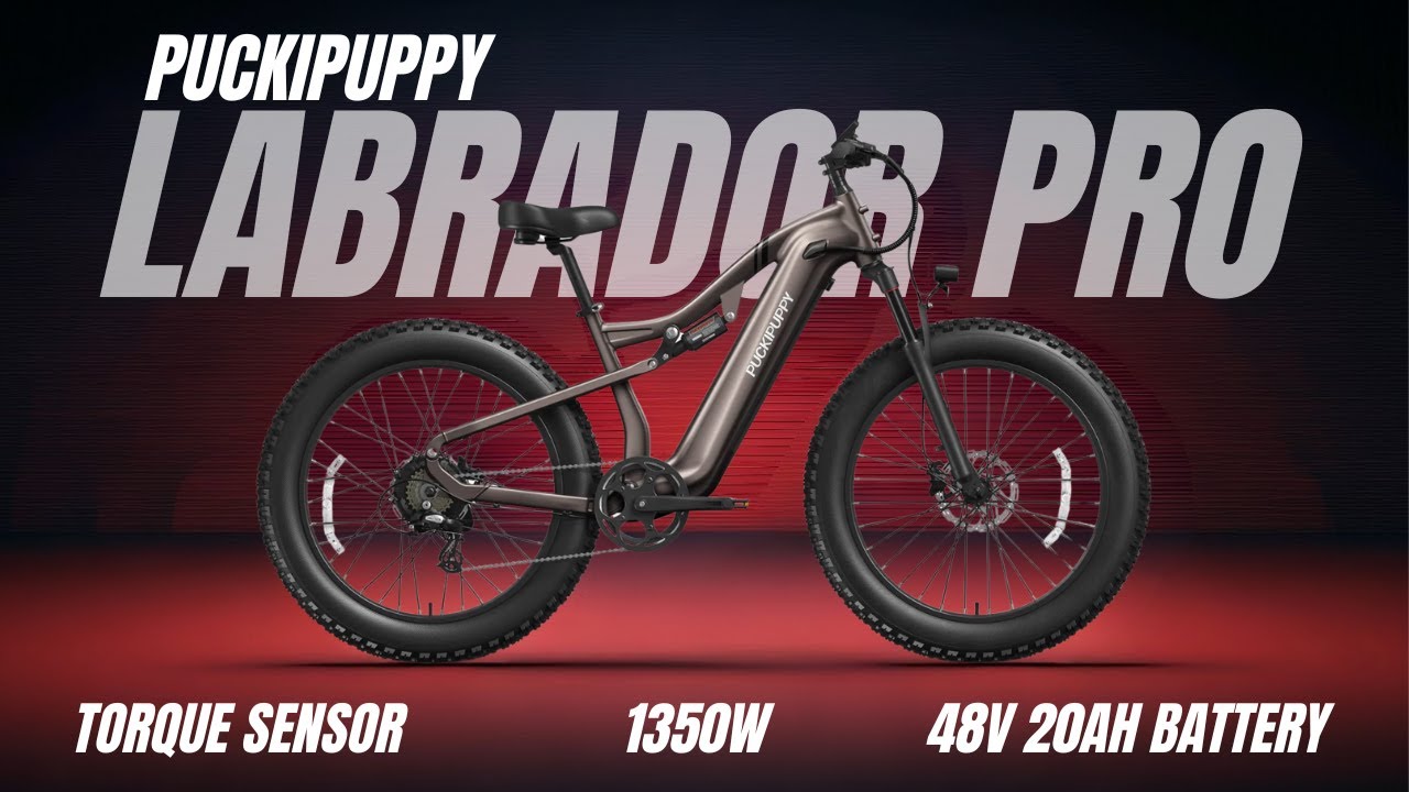 Labrador Pro Review - Puckipuppy Ebike
