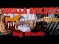 Gorilla Biscuits - Big Mouth (Guitar Cover)
