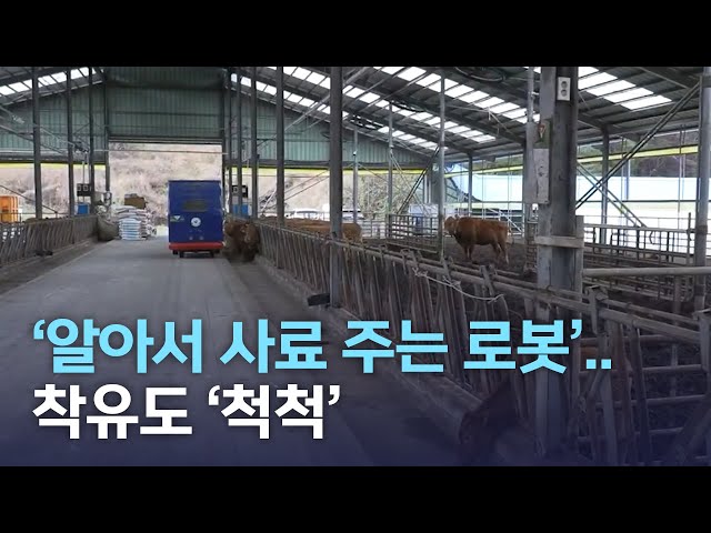 '알아서 사료 주는 로봇' 축산농가 자동화