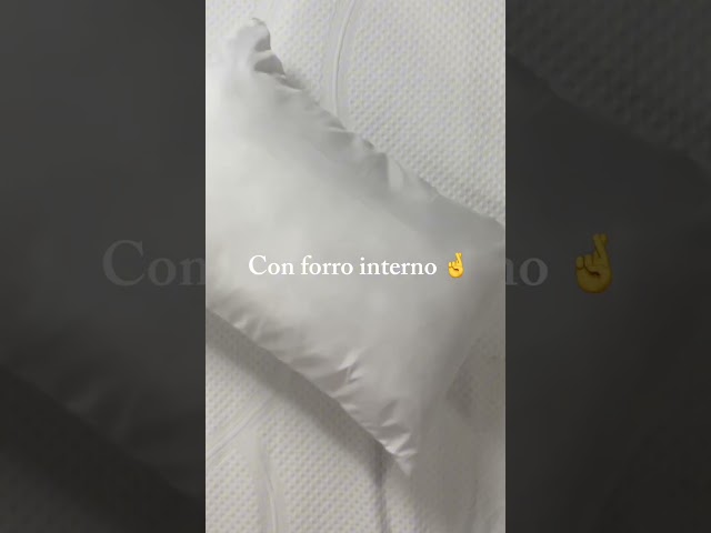 Vídeo relacionado con TOSLEO - Juego de 2 fundas de cojín bordadas, 45 x 45 cm, fundas de almohada para dormitorio, sofá, salón, hogar, decoración de café