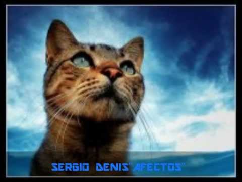 SERGIO DENIS - 