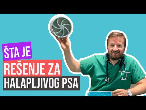 FamilyPet Store | Šta je rešenje za halapljivog psa?