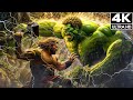 Avengers War FULL MOVIE (4K Ultra HDR)