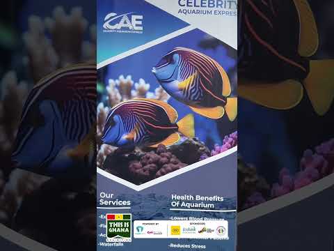 🐠🔥 Aquariums That Turn Heads! Check Out Celebrity Aquarium at This Is Ghana 2026