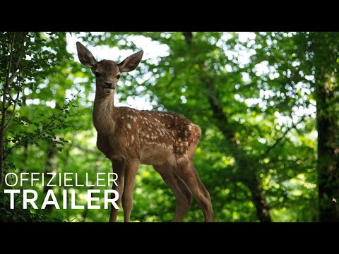 Trailer-Vorschau: Bambi - Eine Lebensgeschichte aus dem Walde