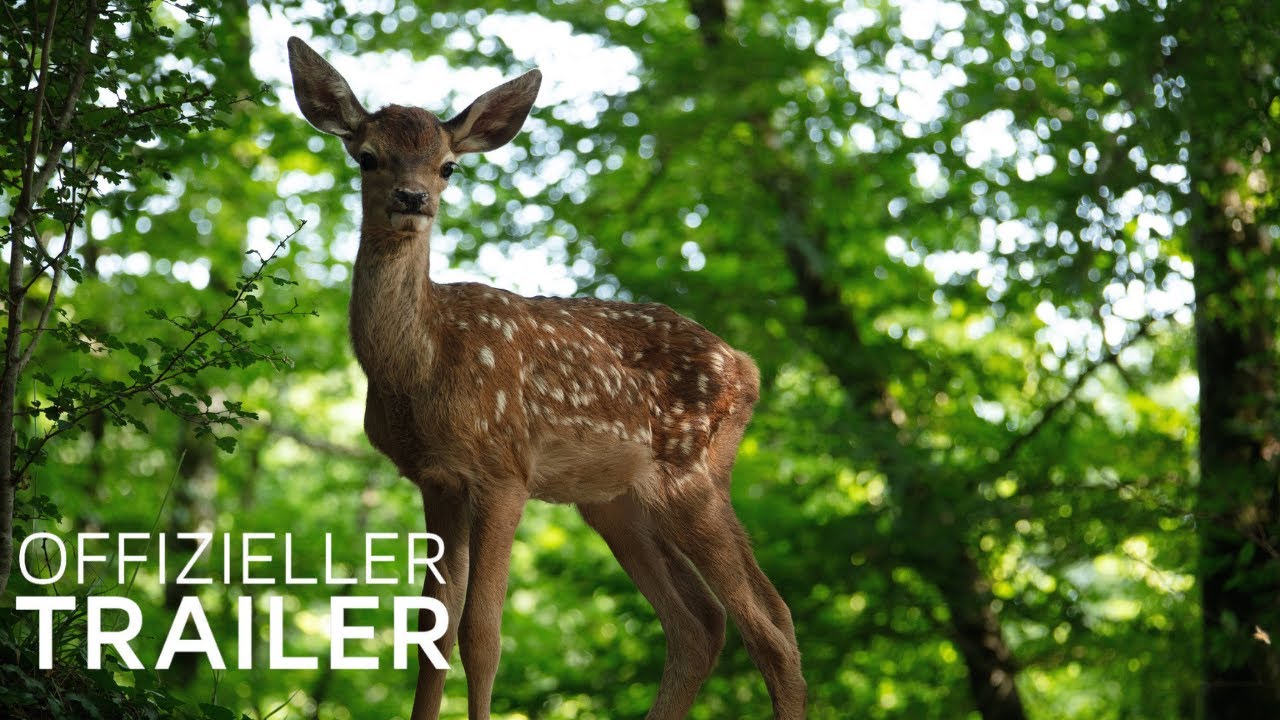 Bambi - Eine Lebensgeschichte aus dem Walde