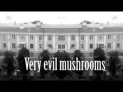 Very evil mushrooms - relaxing music - Antuan Graftio
