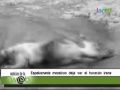 El espeluznante monstruo que dejó el huracán Irene ...
